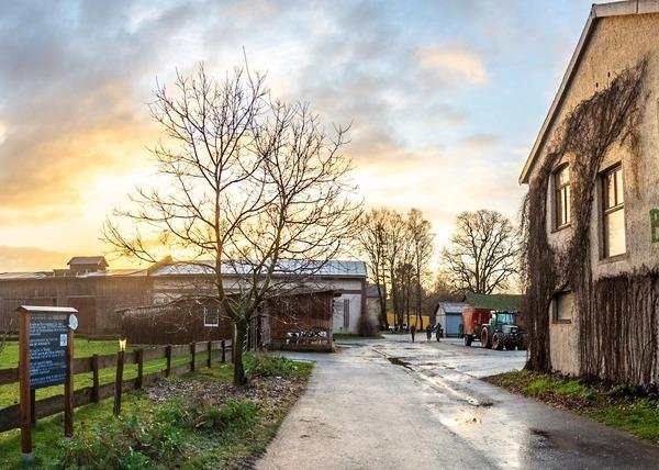 Gut Wilhelmsdorf Hofansicht