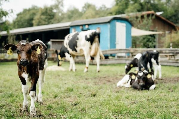 Landwirtschaft auf Gut Wilhelmsdorf