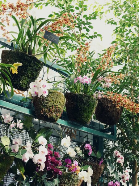 Garten & Balkon