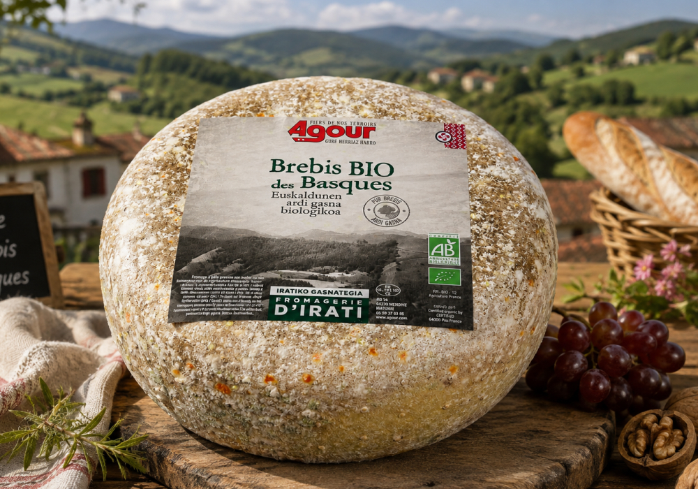 Brebis Bio des Basques