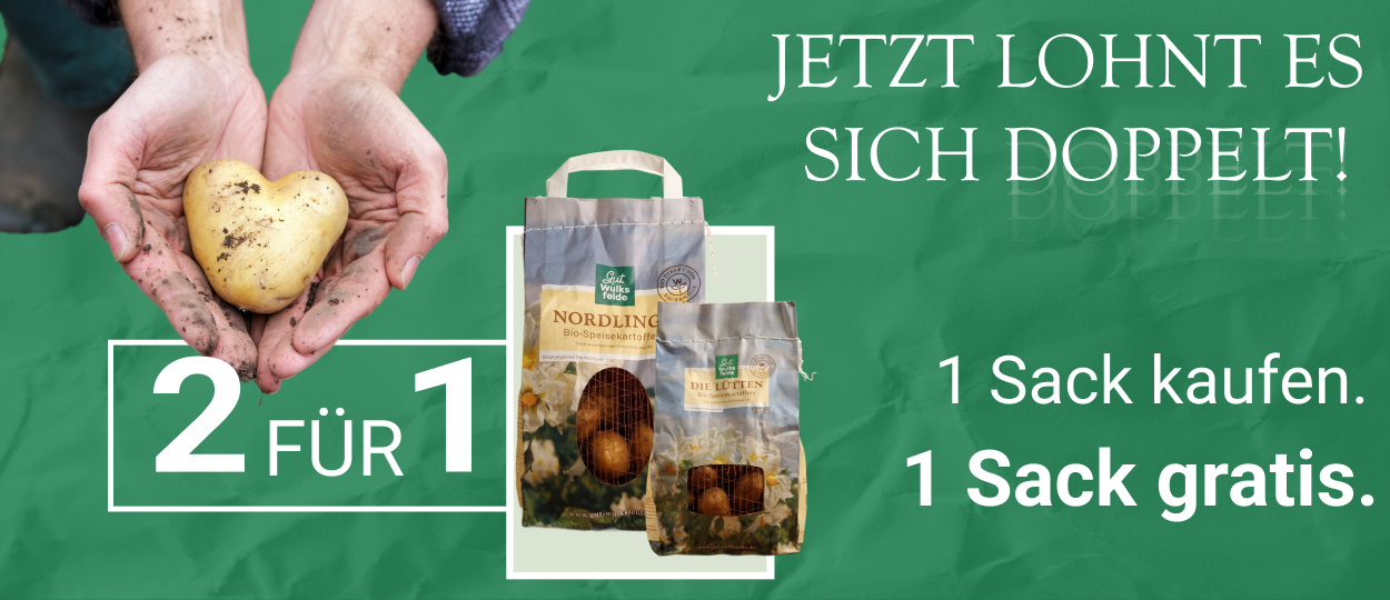 Kartoffel Aktion Header