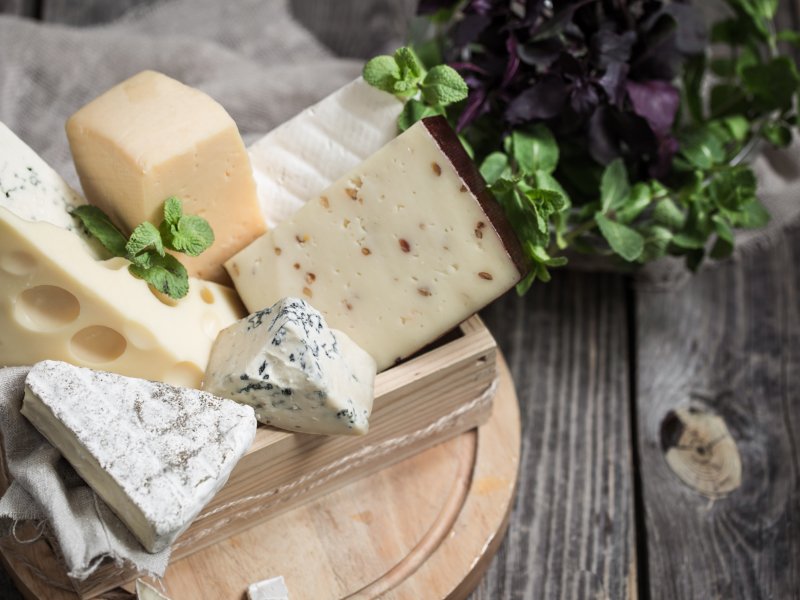 Woche 1 – Tour de Kaas Impression