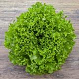 Salat Batavia grün Wulksfelde