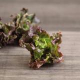 Flower Sprouts 100g
