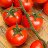 Tomaten Cherry-Honeydrop