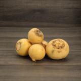 Goldballrüben regional