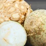 Sellerieknolle regional ca 700g