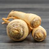 Petersilienwurzel Wulfsdorf