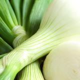 Gemüsezwiebel mit Grün Wulsfelde