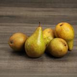 Birnen Xenia regional