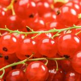 Johannisbeeren rot 250 g regional