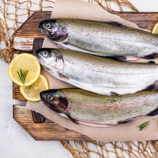 Frischer Saibling ca. 600 g nur 09.03.-14.03.