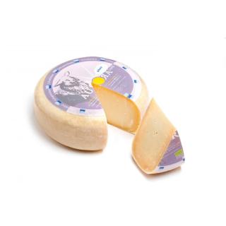 Aurora Gold Schafgouda pikant