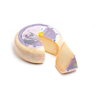 Aurora Gold Schafgouda pikant 50 %