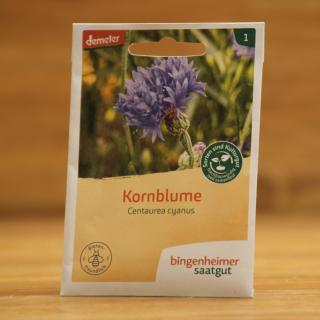 Saat Blaue Kornblumen