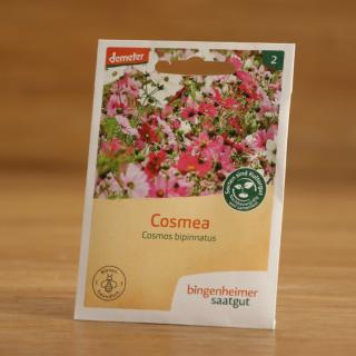 Saatgut Cosmea