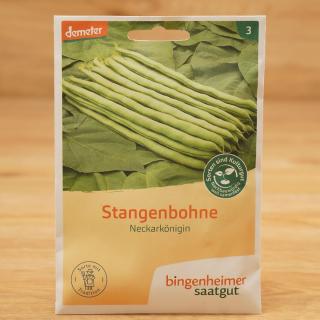 Saatgut Stangenbohne Neckarkönigin