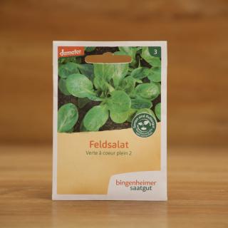 Saatgut Feldsalat dunkelgrün und vollherzig