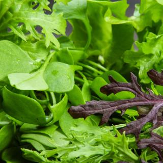 Salat Wildsalat 100g regional