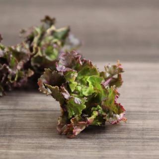 Flower Sprouts 100g regional