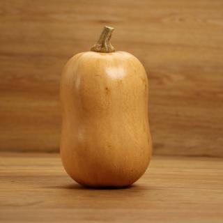 Kürbis Butternut regional