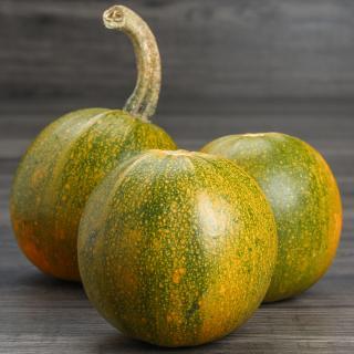 Kürbis Rondini Wulksfelde ca 300 gr Wulksfelde