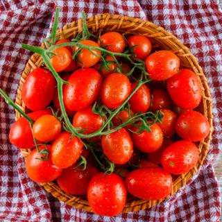 Tomaten Cherry-Strauch
