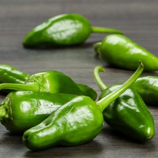 Pimientos Schale 200 g Wulksfelde