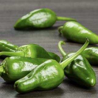 Paprika Pimientos de Padron 200 g