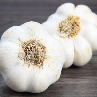 Knoblauchknolle