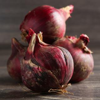 Zwiebeln rot