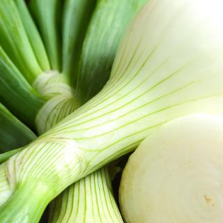 Gemüsezwiebel mit Grün Wulsfelde