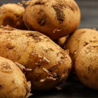 Frühkartoffeln neue Ernte 500 g