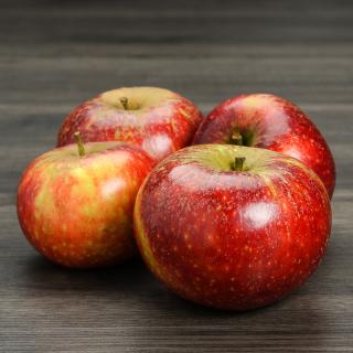 Premium Äpfel Wellant