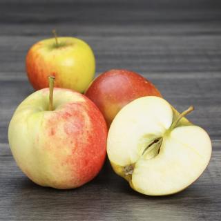 Äpfel Summerred regional