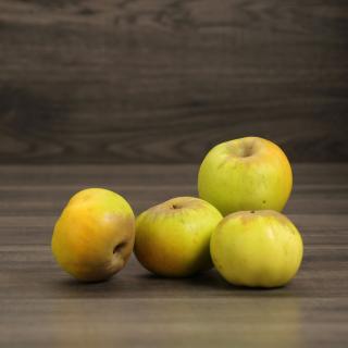 Äpfel Streuobst Wulksfelde