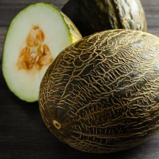 Honigmelone Piel de Sapo
