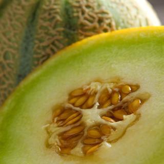 Honigmelone Galia ca 1 kg