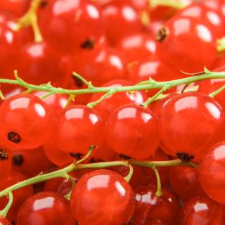 Johannisbeeren rot 250 g