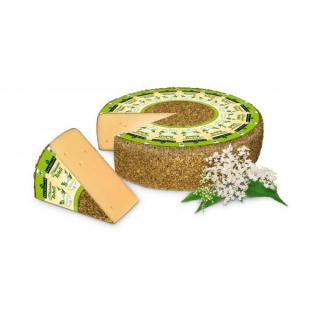 Holunder Rebell 50%
