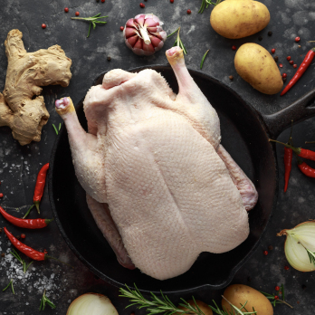 Ente mittel mit Innereien ca. 3 kg