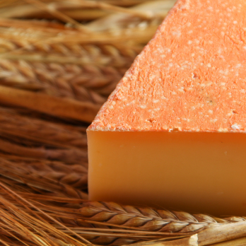 1862 - Das Meisterstück 50 %