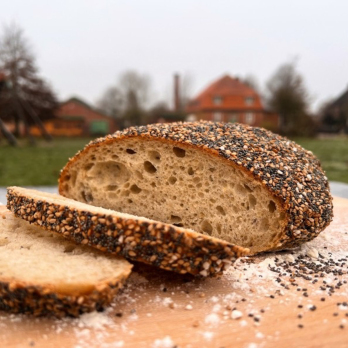 Wulksfelder Meisterstück