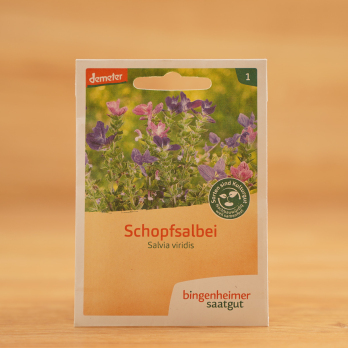 Saatgut Schopfsalbei