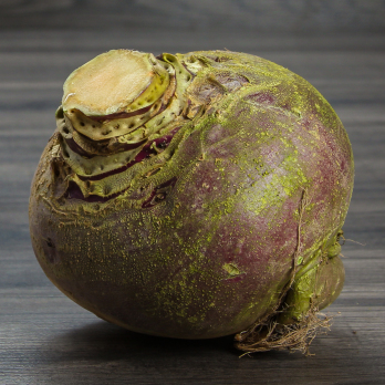 Steckrübe ca 1 kg  regional