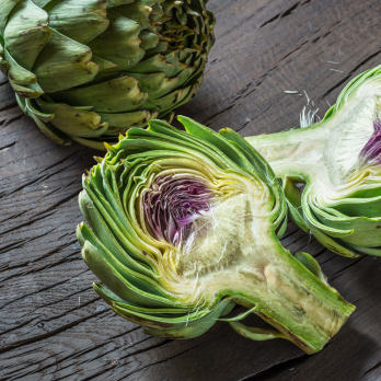 Artischocken "Opal"