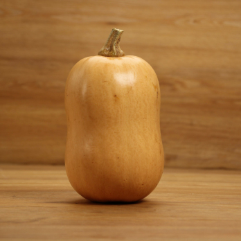 Kürbis Butternut regional