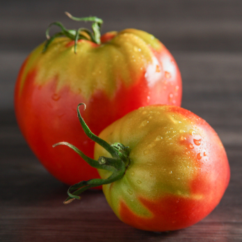 Tomaten Ochsenherzen mix