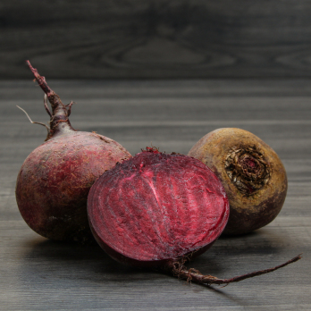 Rote Bete Wulksfelde
