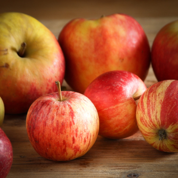 Äpfel klein Nikolausäpfel regional